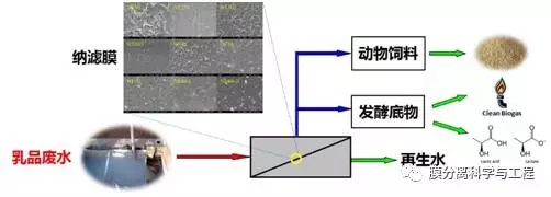 膜集成技術(shù)在乳品廢水資源化中的應(yīng)用