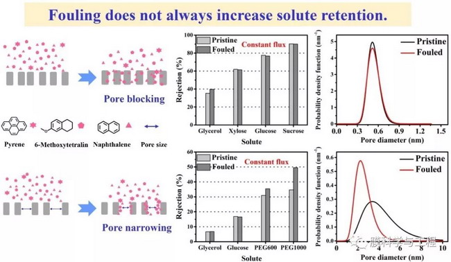 “小”孔里有“大”玄機(jī)---納濾膜污染機(jī)理新發(fā)現(xiàn)